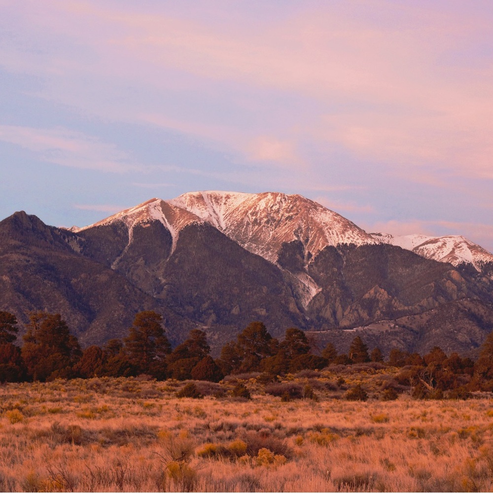 Meet your Posher, Jesy